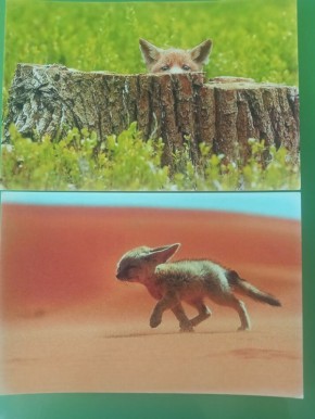 ��� ���� ���������� ������ ����� ������������ �������� � �������������