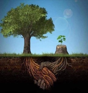 ����������: ������ ��� ������� ������� ���������� � ����������� ����