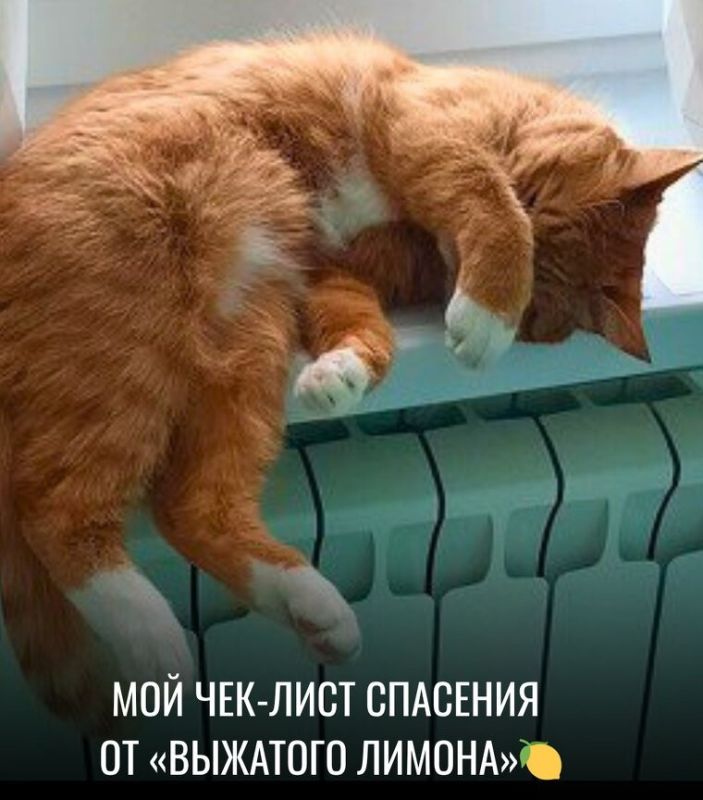 ����� �������: ��� ������������ ���� � ���������� �� ���������