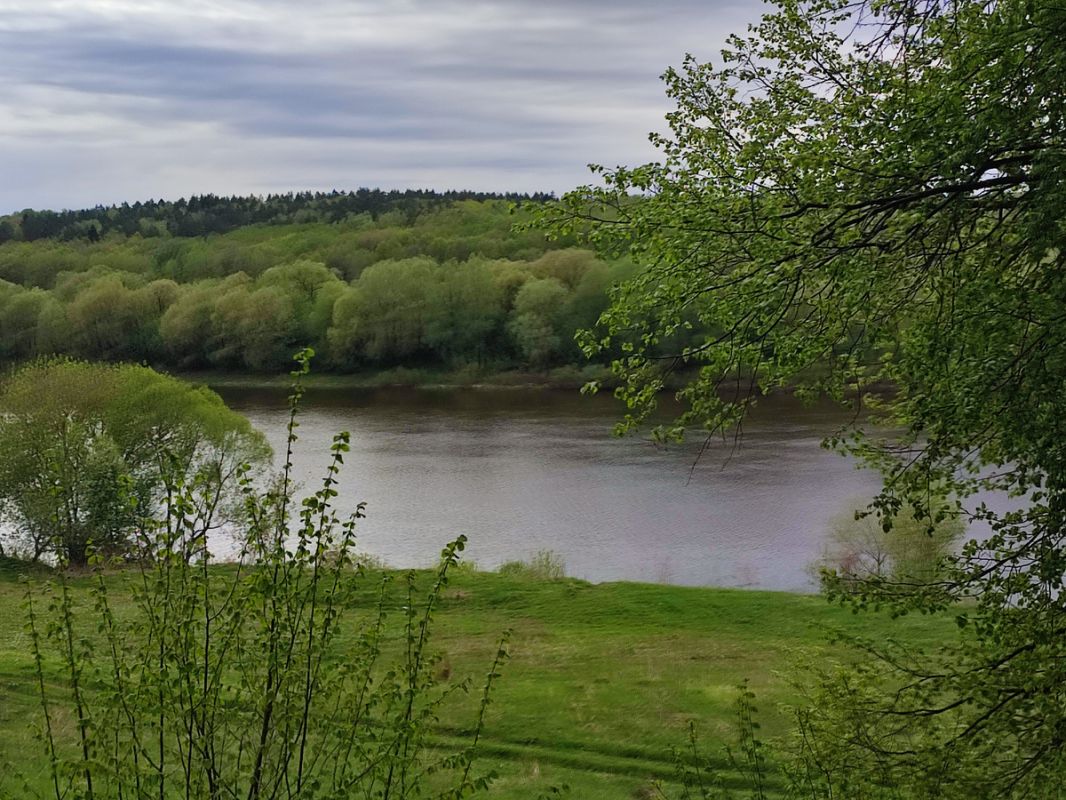 ��� �� ����������� ���� ����� ������� � ����������� ����?