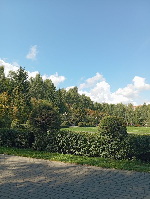 ���������� ����� �� �������: ��������� � ���������� ������� �� � �����