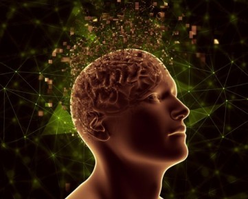 ������������ �����: ��� ���� ��������� �� ��������� � �������� � ������������ �����