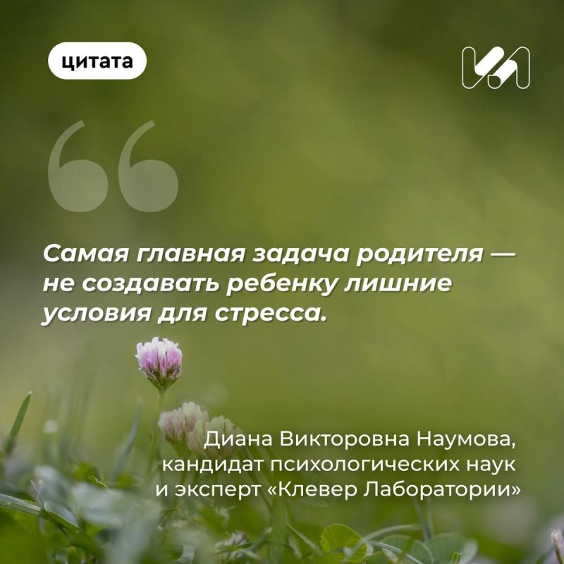 ������������� ���� �������: ��� ��� �������� ������� �������