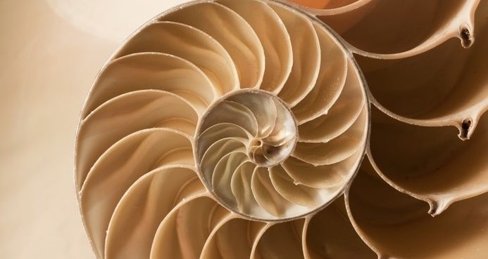 ��� � ������: ��� ������� ������� �������� � ������ �������