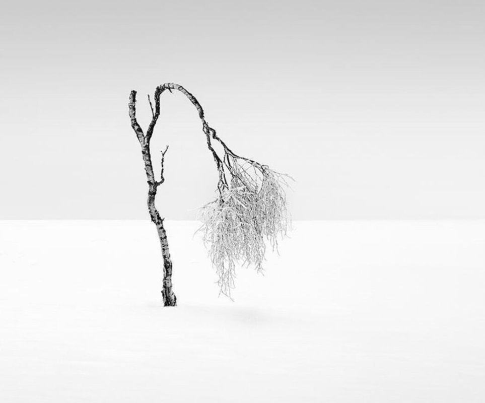 Как любовь может превратиться в ненависть