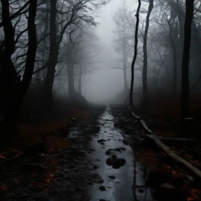 ����� � �����: ��� ���������� � �������� �����������