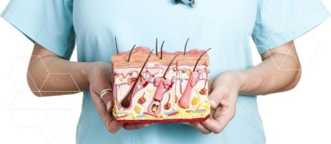 ������ �������: ��� ����� ����� � �������� � ������������