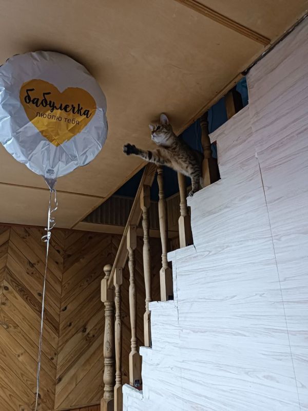 Как проходят выходные у семьи: два разных мира