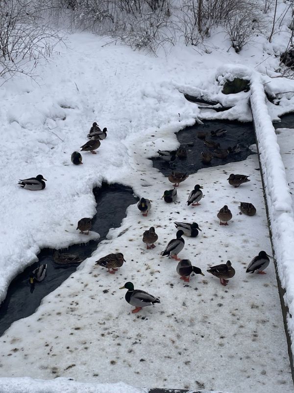 Тонкости общения с соседями в современном мире