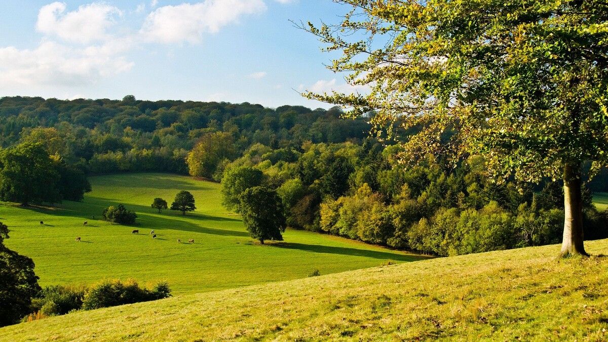 ������ ���������� ������� ����� ����� ���������