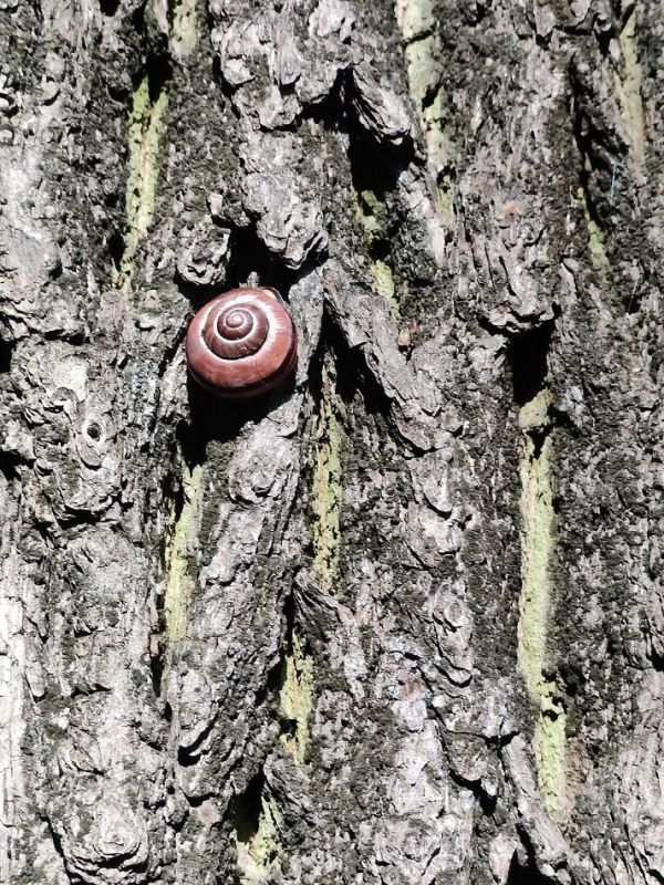 ������� � ����������: ��� ����� ������ ����� ������� � �����������