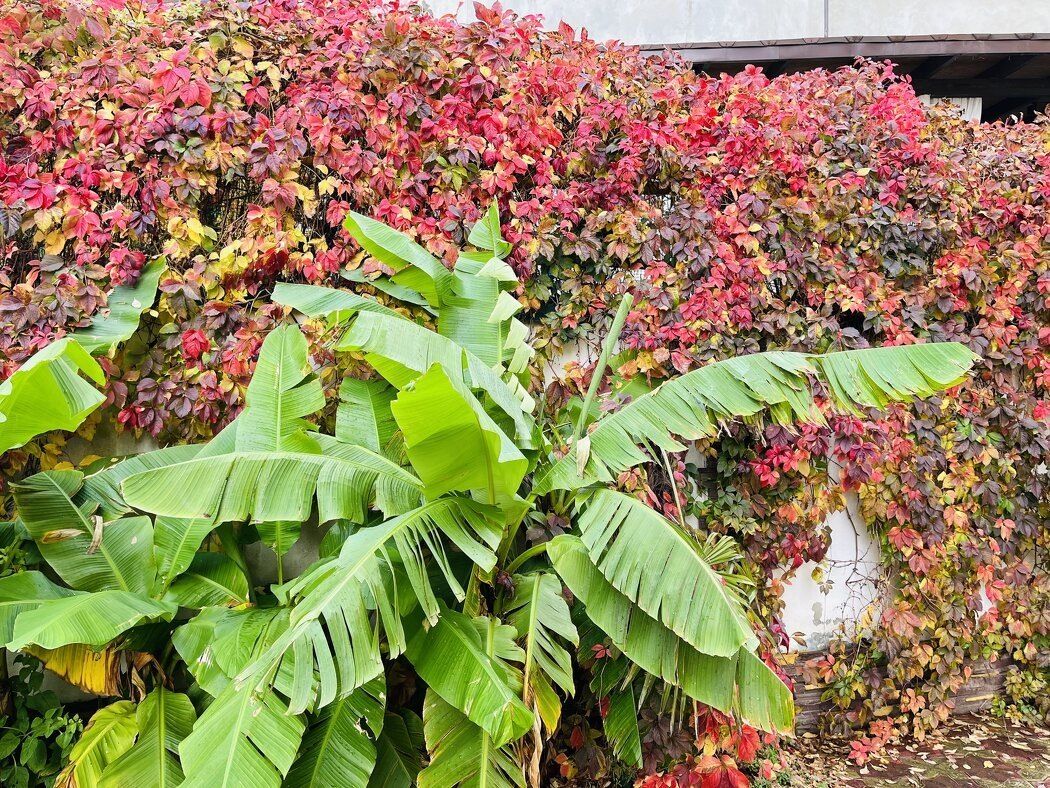 ��� ��������� ��������� ���� � ����������: ����� ������ �� ���� ��������