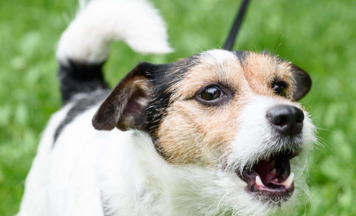 ������� ��� ���� � ����� ������������