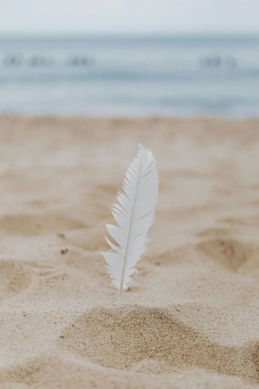 Цена изменений: как справиться с переходами