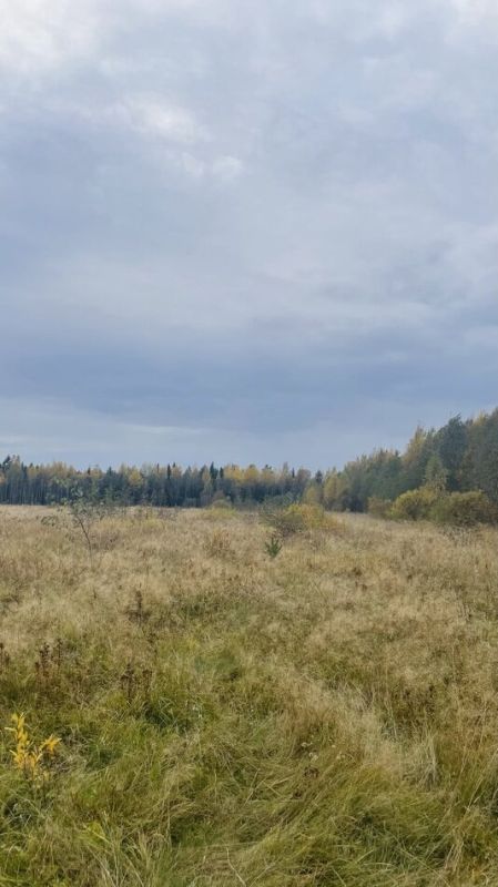 ���������� ����������� � ����������: ��� ����������� � ������� ������ �����