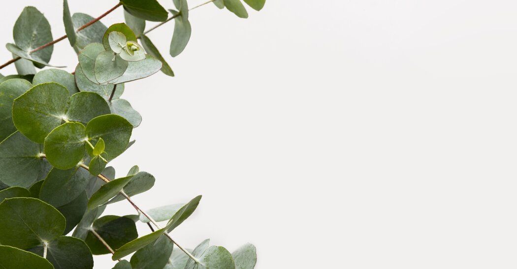 ��� ������� ����������� ������ �� �������� �����