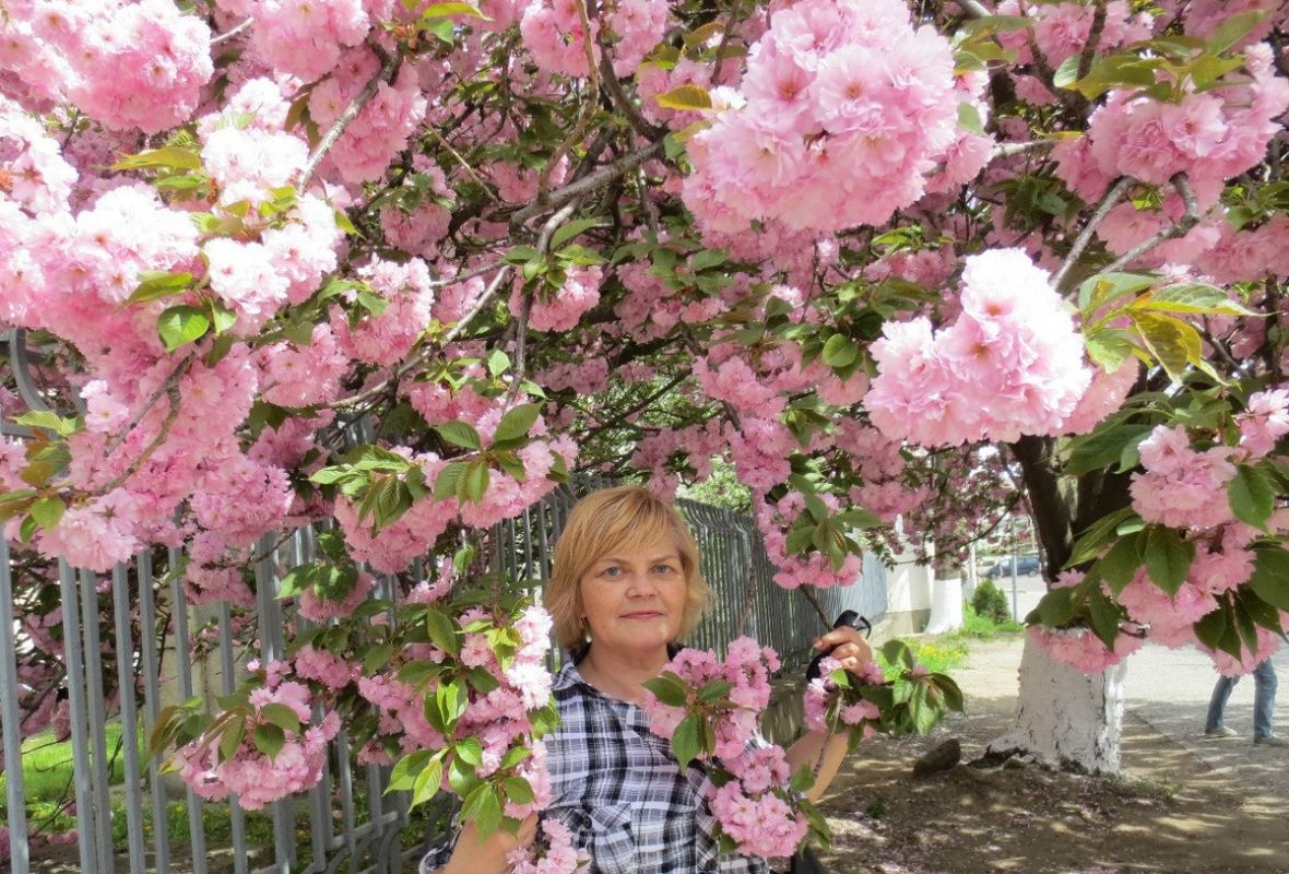 ������ ������ � ���� ������� ����� �������? ��������� ������� ����������