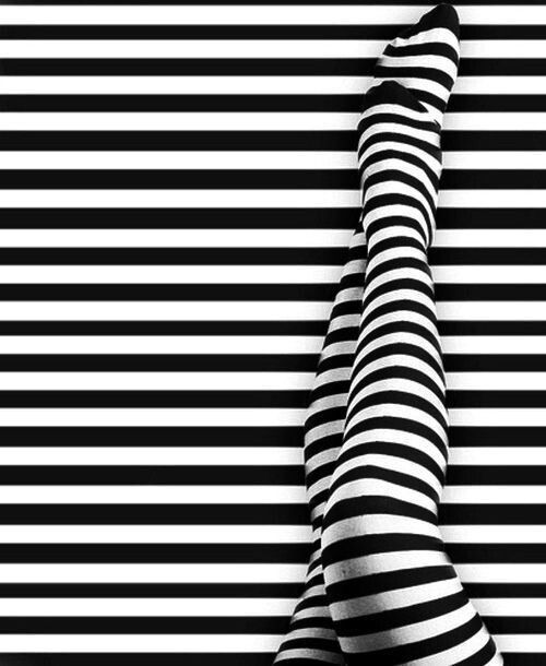 ����� ����������� ����� ���������� ����������