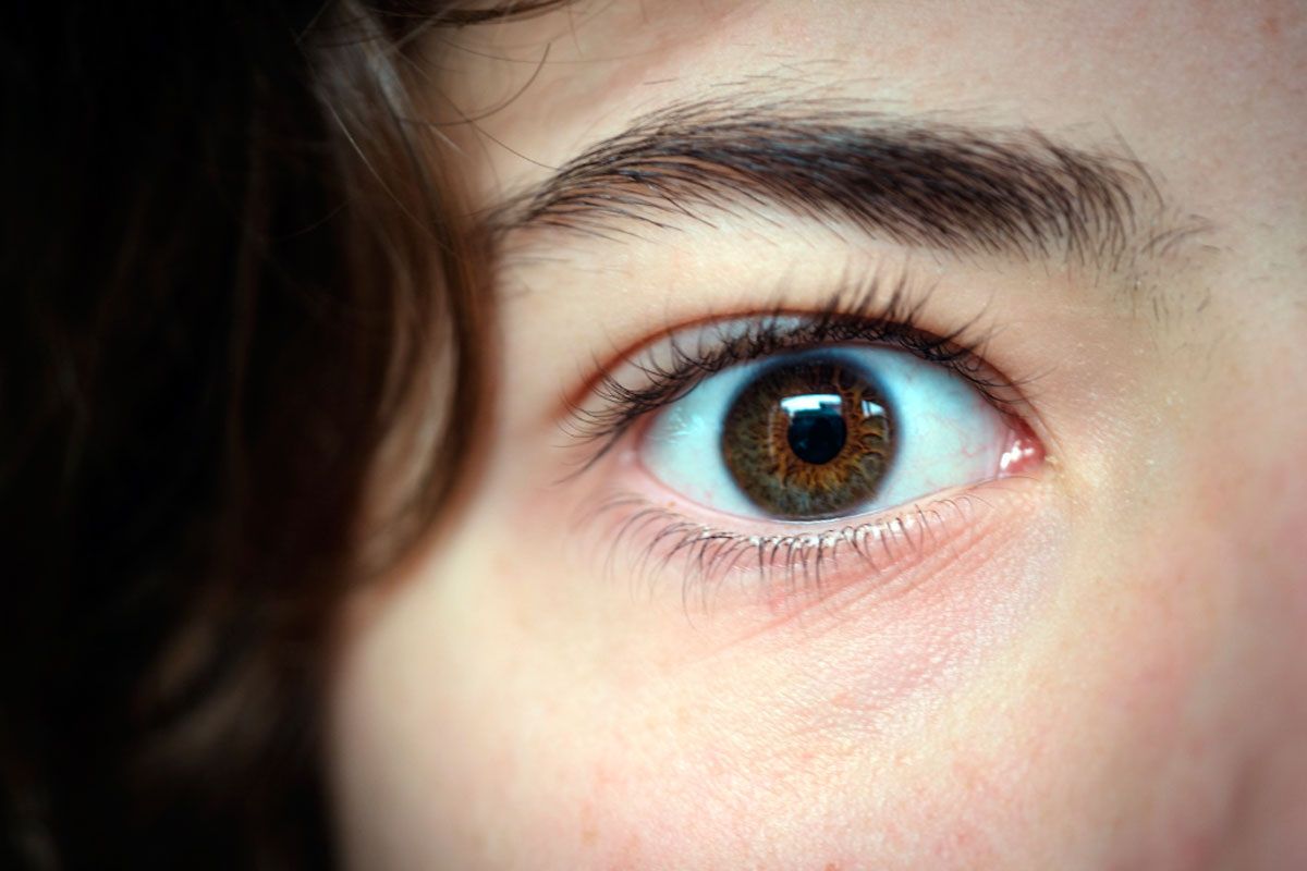 ���������� � �����������: ��� ���������� ���������� � �������� � ������ ����������