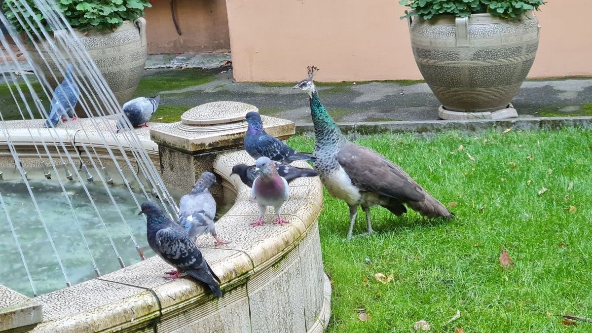 ���������� ���������: ��� �������� ������ �������� � ������� ���������