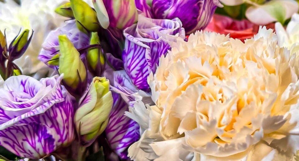 ��� ���� � ������������ ��������� ���� ���� ����������: ����� � ���������� �����