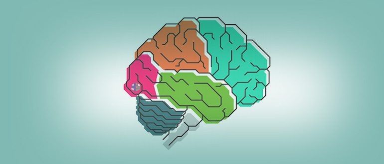 Что нужно знать о 4brain: курсы, тарифы и отзывы пользователей