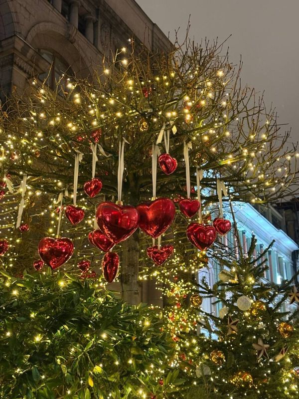 ������ ��� ����: ��� ������������ �� ������ ���������