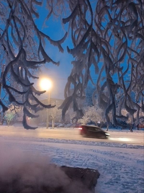 ������ ������� ������������ ����� ��������