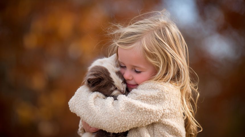 ���� �������: ��� ������ ��������� ����� ���������� �������