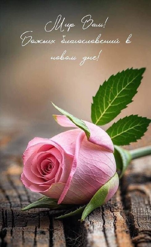 Женщина: загадочная вселенная для мужчин