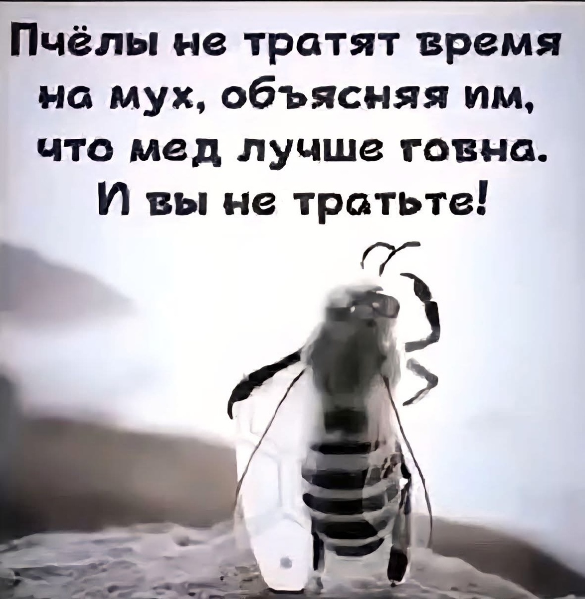 Необычные встречи в метро: как токсичные личности влияют на утренние поездки