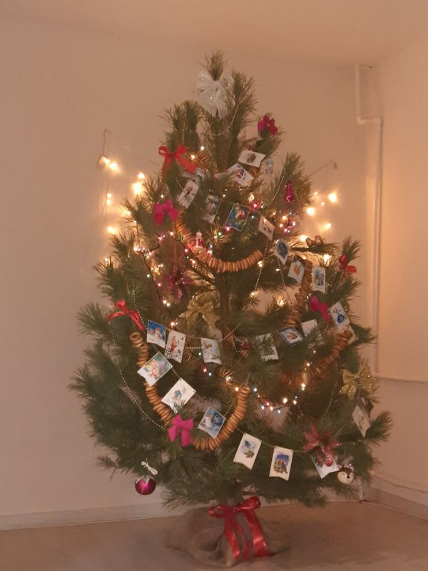 ������ ����� ��� - ����� ������ ���� �������