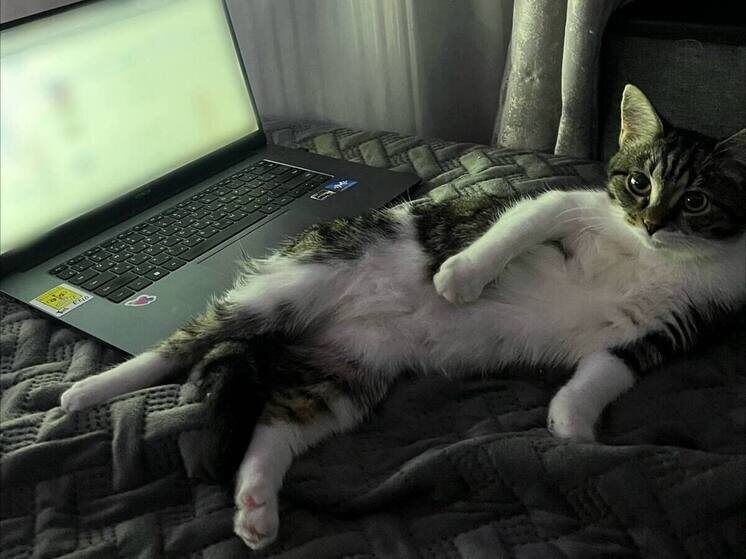 ����-�����������: ����� ���������� ��� ����������� ����������������