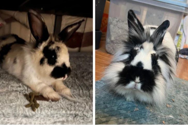 ������������ ��������: 16 ������� � ������� � �����