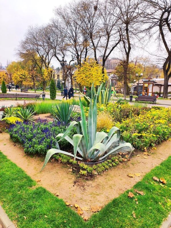 ������ ���� �������� ������������ � ������