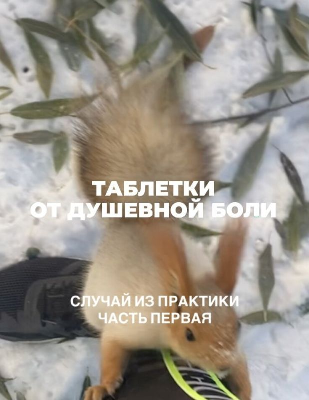 �������� ��� ����: ������� �������� � �� ���������� ������