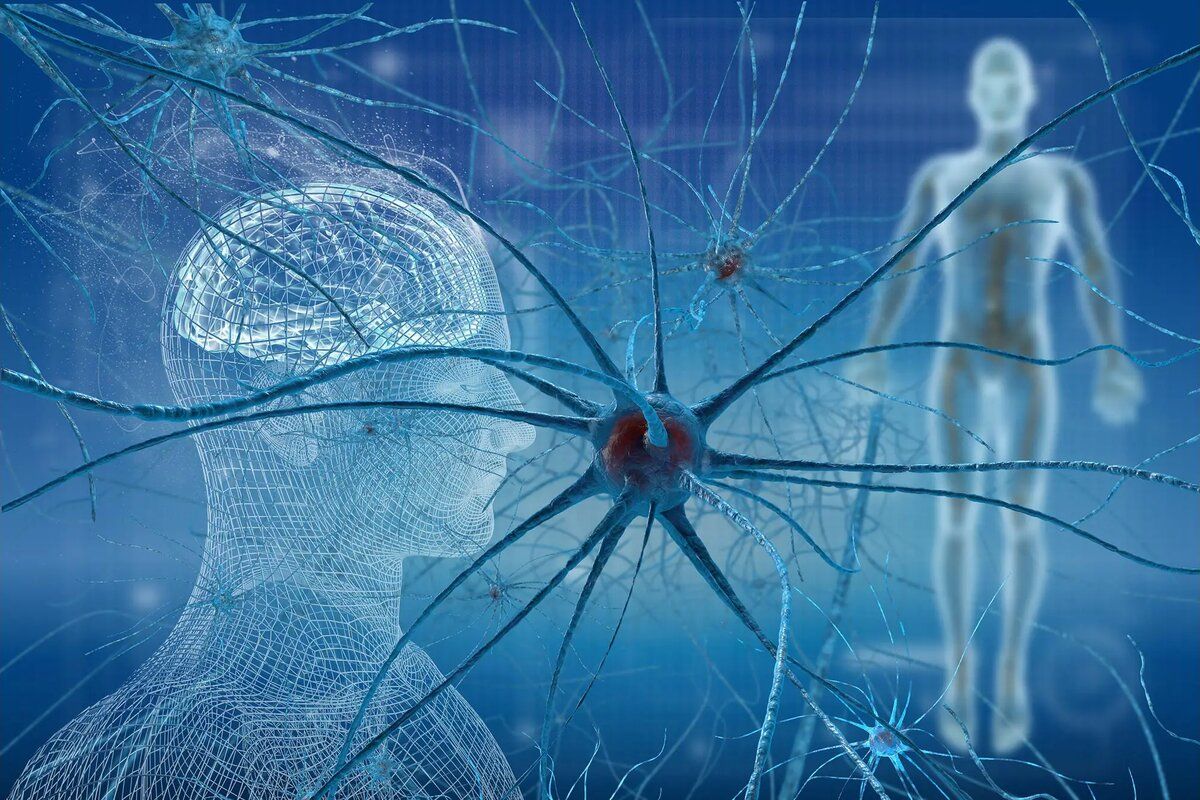 ��� ���������� ����������� � ���� � ������� �������