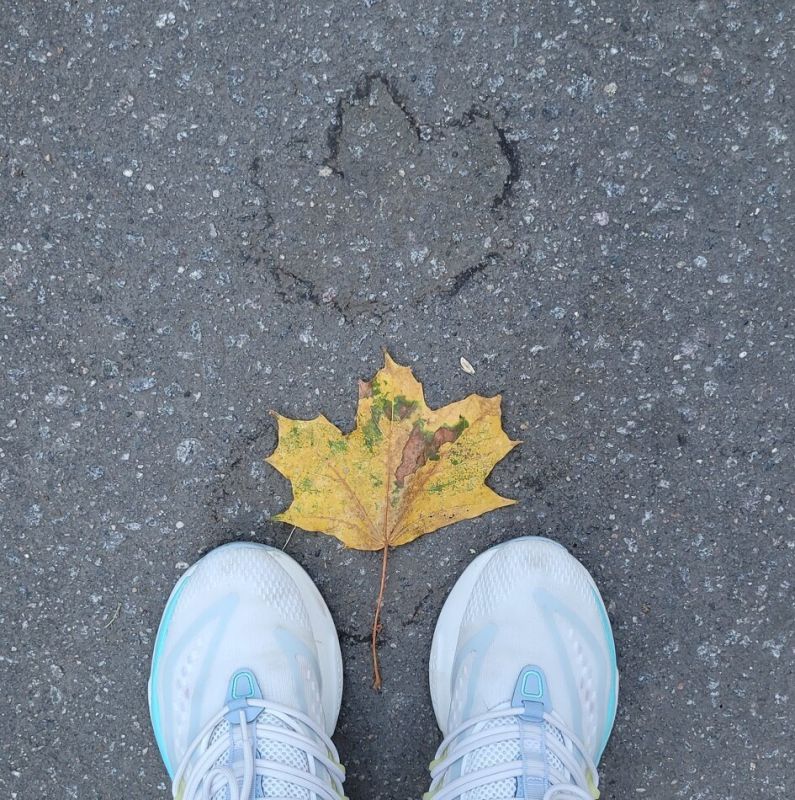 ������������ ���������: ��� ���������� � �������� ���������� ��� ��������