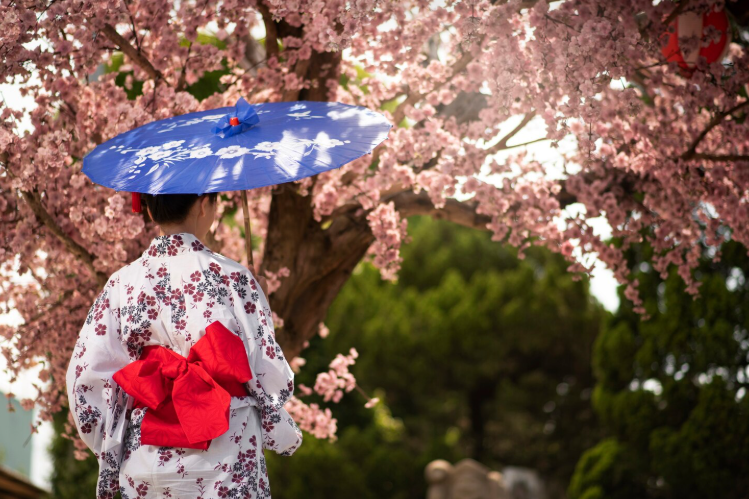 Секрет счастья по-японски: икигай как путь к гармонии