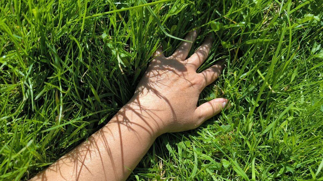 ��� ������������ ����?