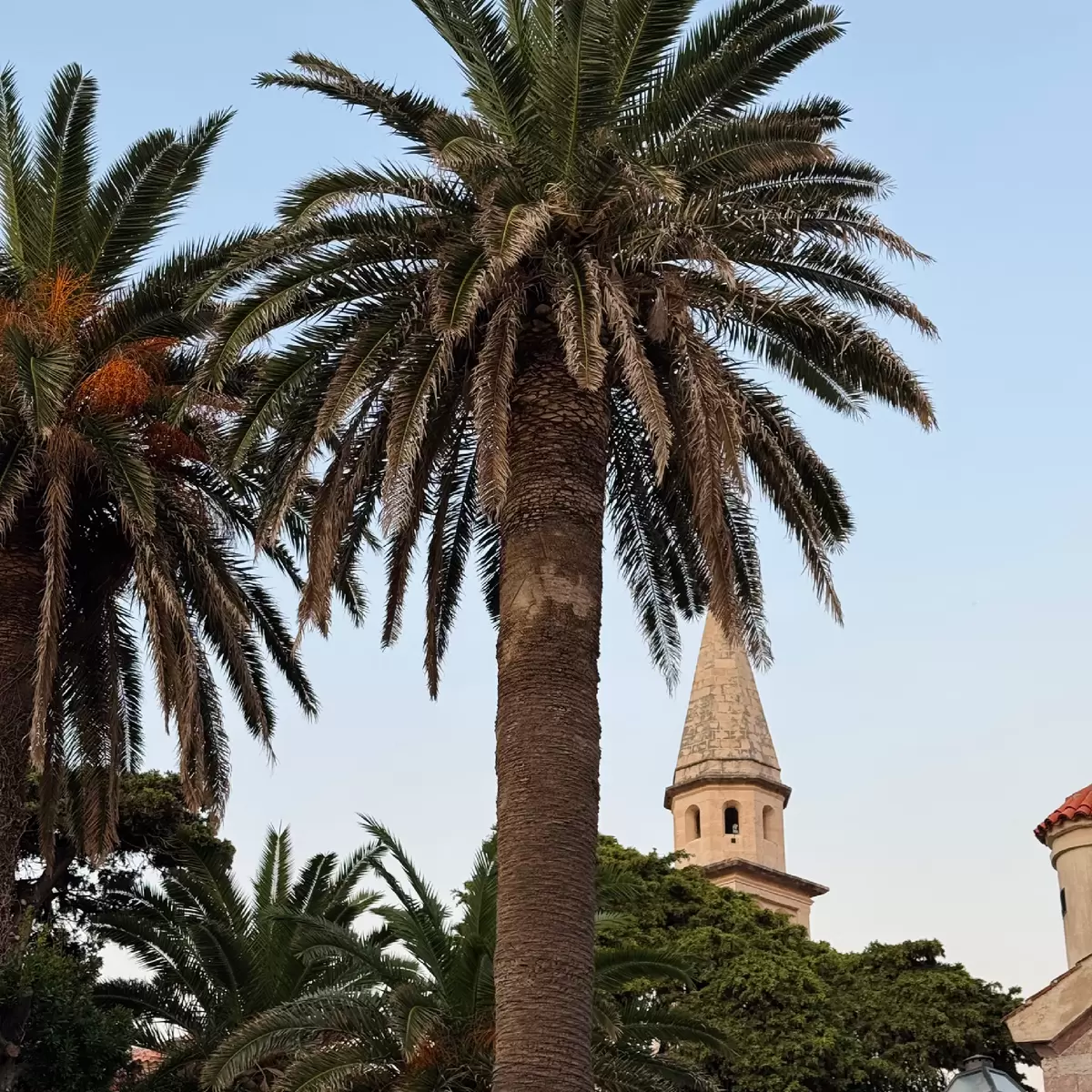 Путеводитель по Черногории: 5 советов для незабываемого отдыха