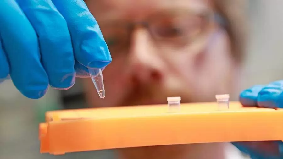 Зачем мужчины проверяют отцовство: научные аспекты и мифы