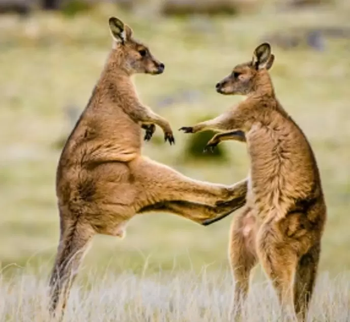Как справляться с конфликтами в отношениях