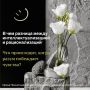 Рационализация и интеллектуализация: когда разум преодолевает эмоции