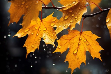 ��� ��������� ������� � ������� ������: ���������� ������� �������