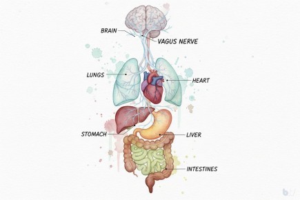 �������, ���������� � �� �� �����: ��� ��������� ������� �������, � ������� ����� �����