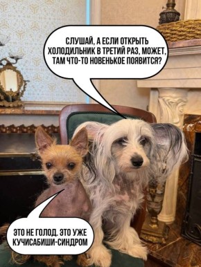 ��� ���������� � ����������: ���������, ������� ������� �������